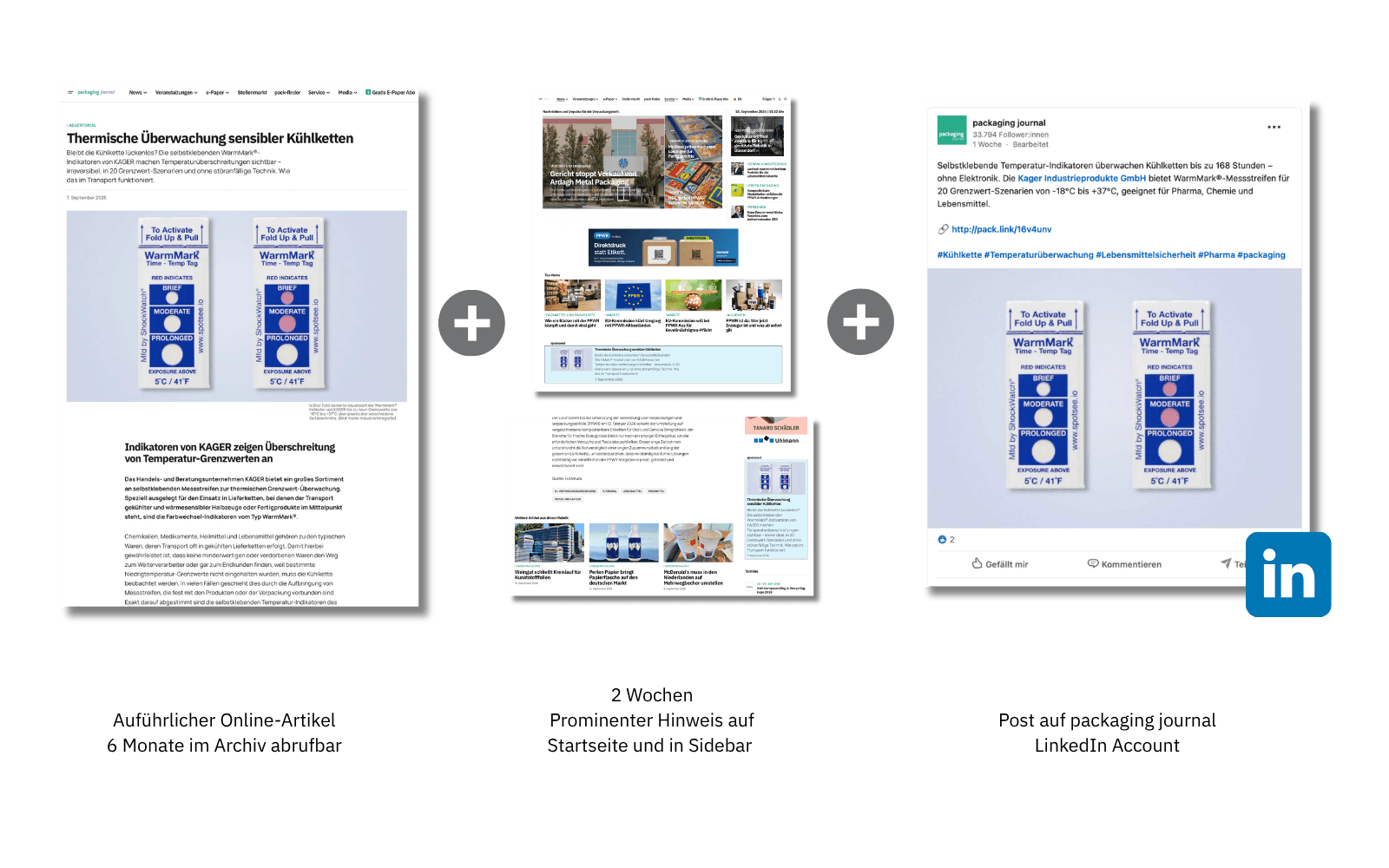 Online-Advertorial