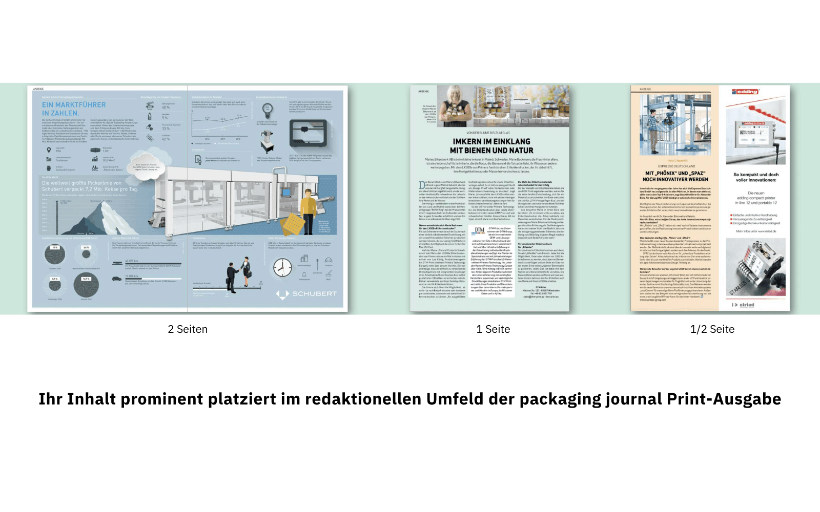 Print-Advertorial